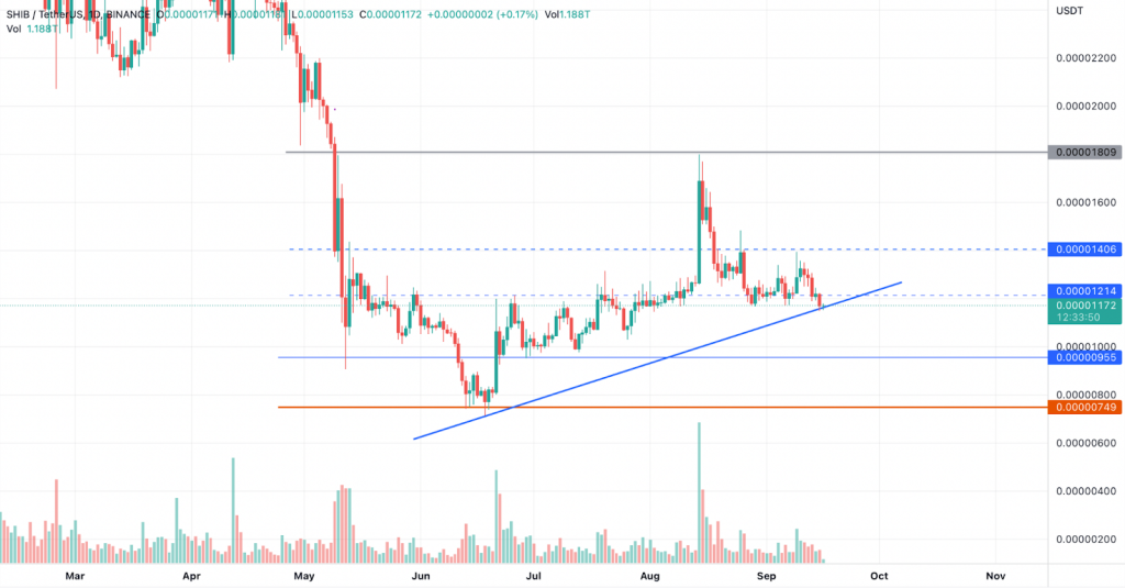 Shiba INU Price Analysis: SHIB Price Poised to Drop Below $0.00001