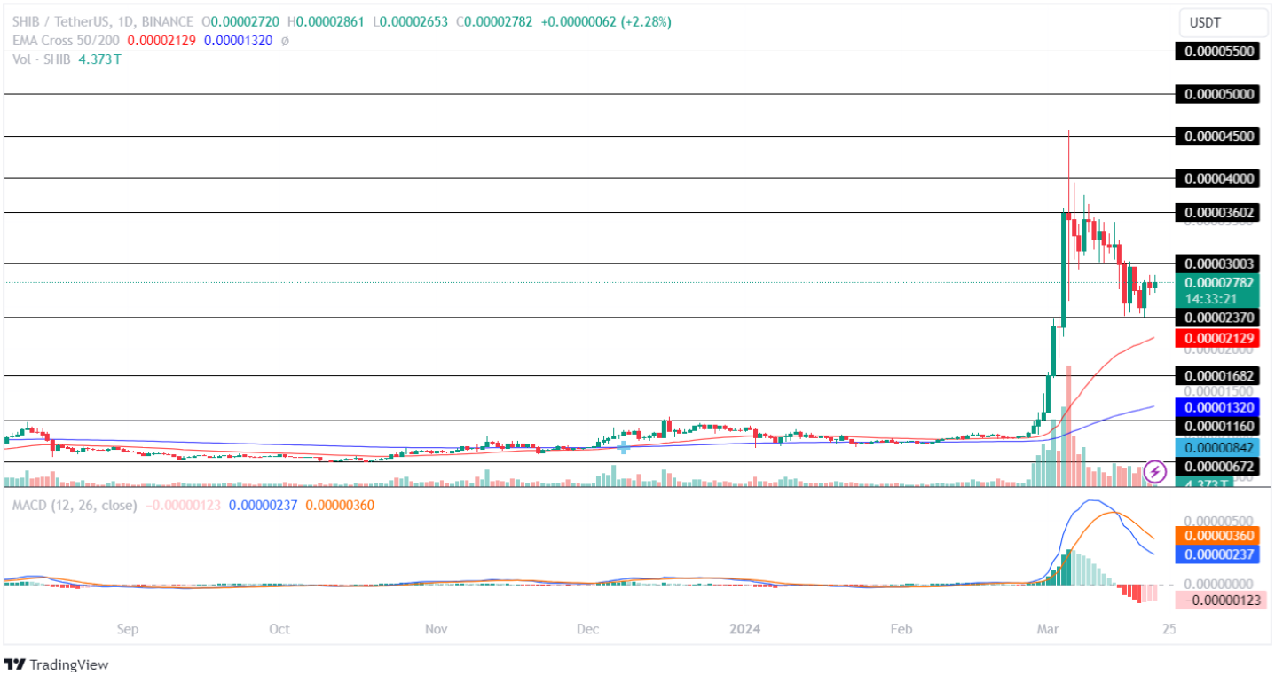 Shiba Inu Price Analysis