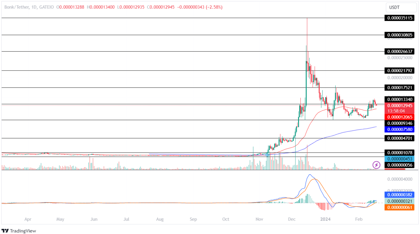 Bonk (BONK) Price Analysis