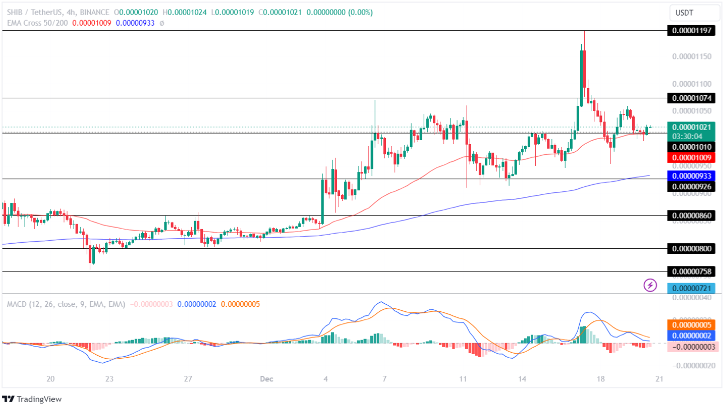 Shiba Inu Price Analysis