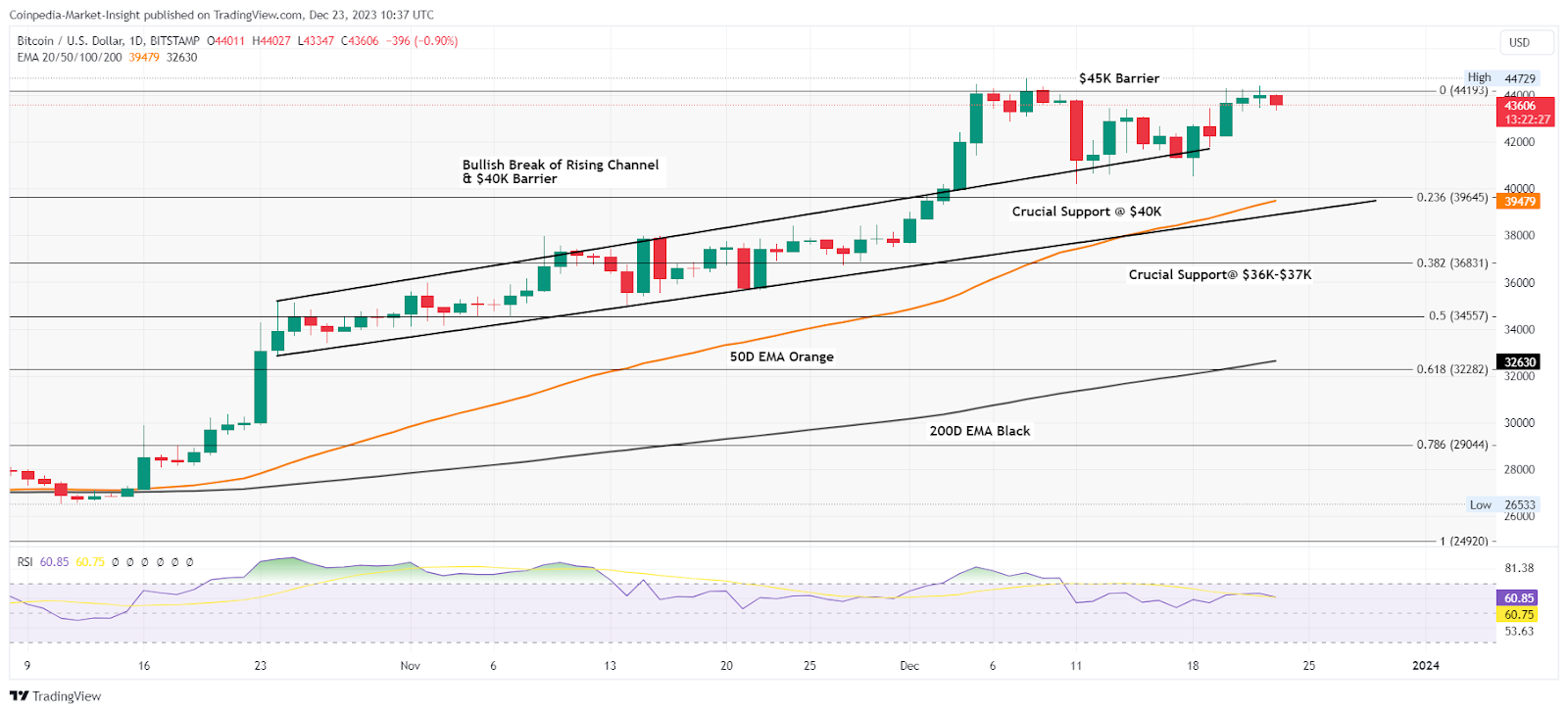 Crypto Market Weekly Review: Altcoins Ascend as Bitcoin Holds Stea