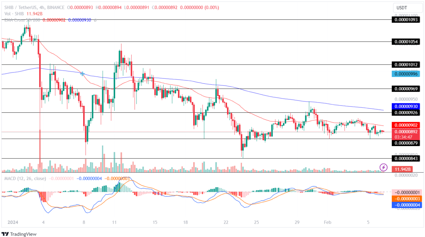 Shiba Inu Price Analysis