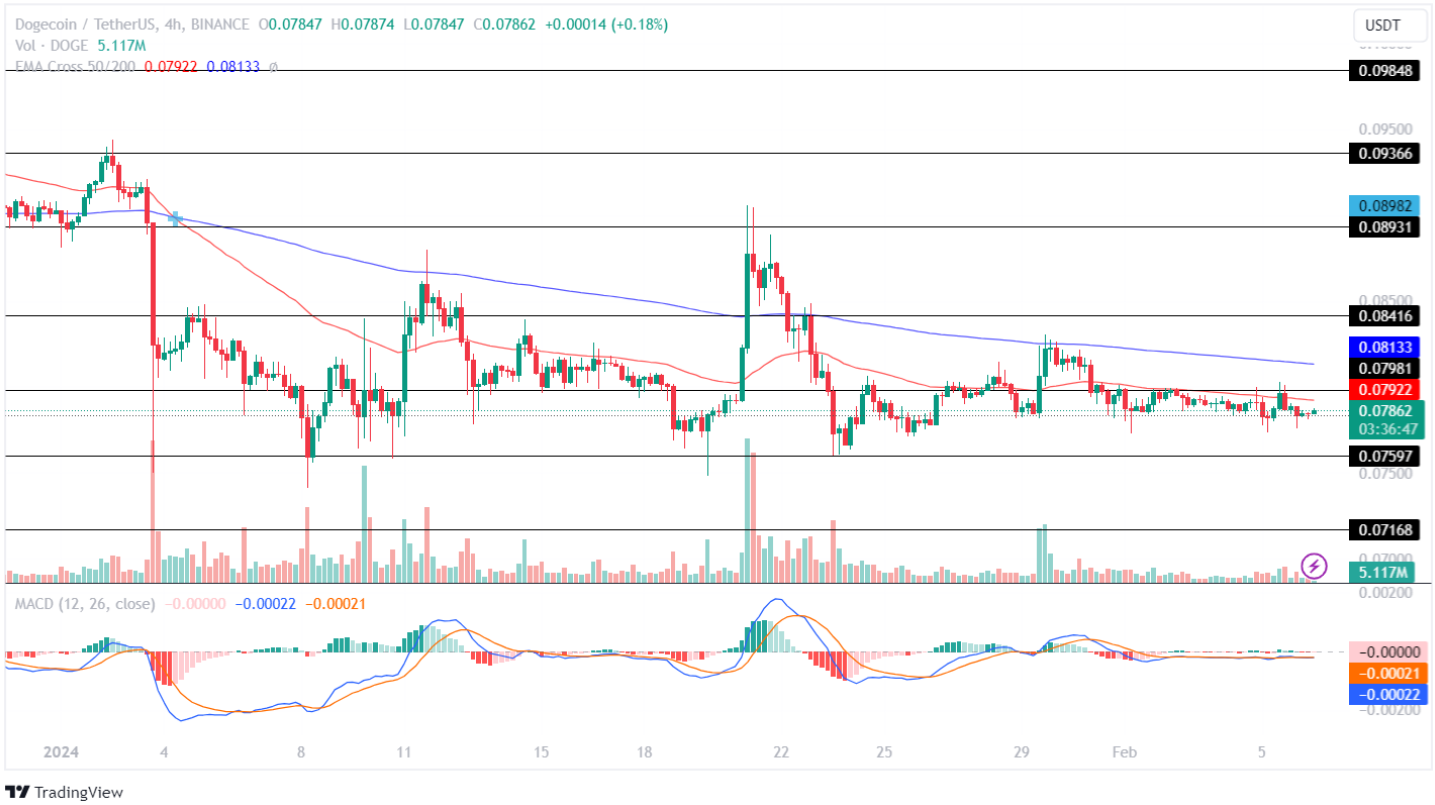 Dogecoin Price Analysis