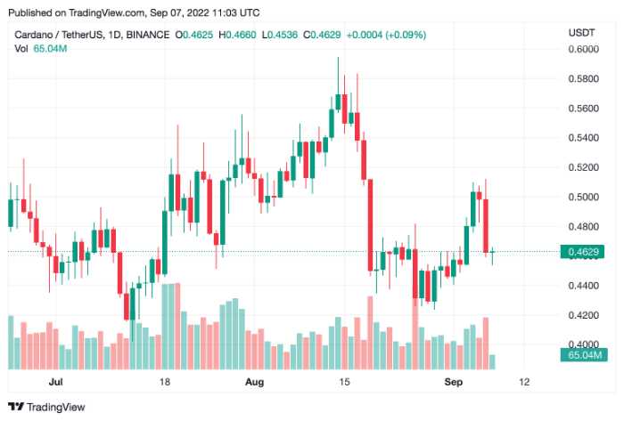 Cardano (ADA) Price Poised to Hit $0.60 level in Coming Days – C